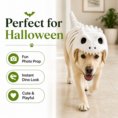 DinoPaws™ Glow Dino Costume for Pets